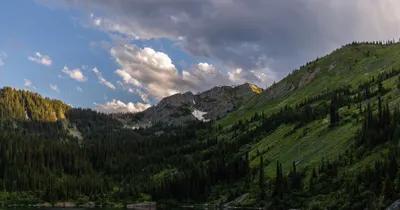 Green mountain slopes and forest beneath a partly cloudy sky