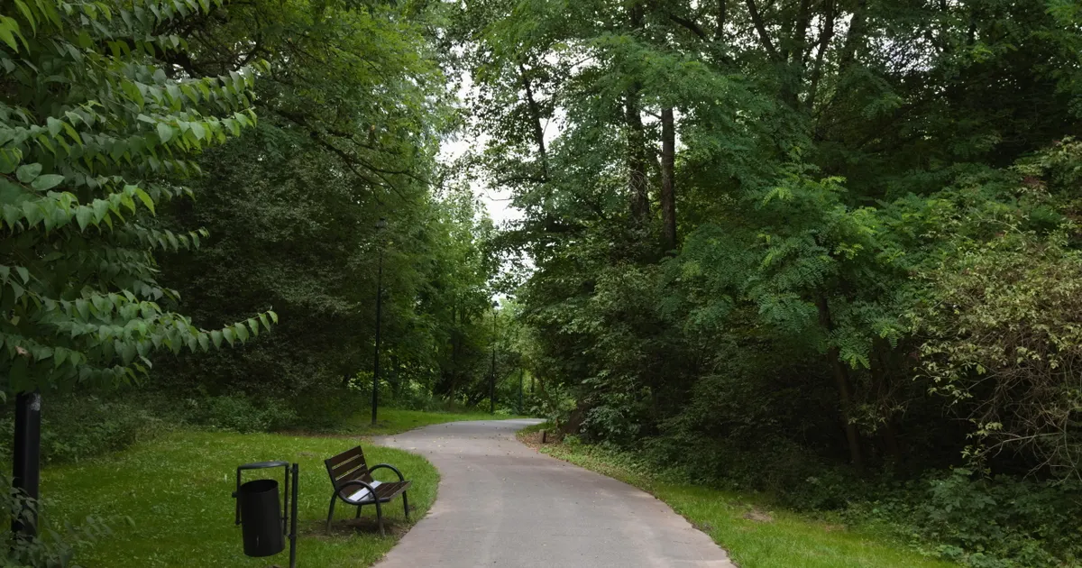 A paved walking path and bench surrounded by green trees