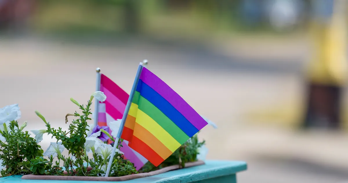 Small rainbow and pride flags in a planter filled with flowers