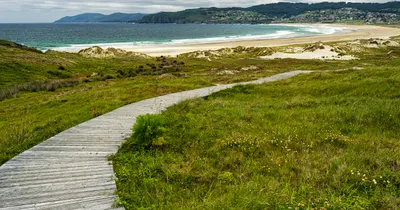 A wooden boardwalk across green coastal grass