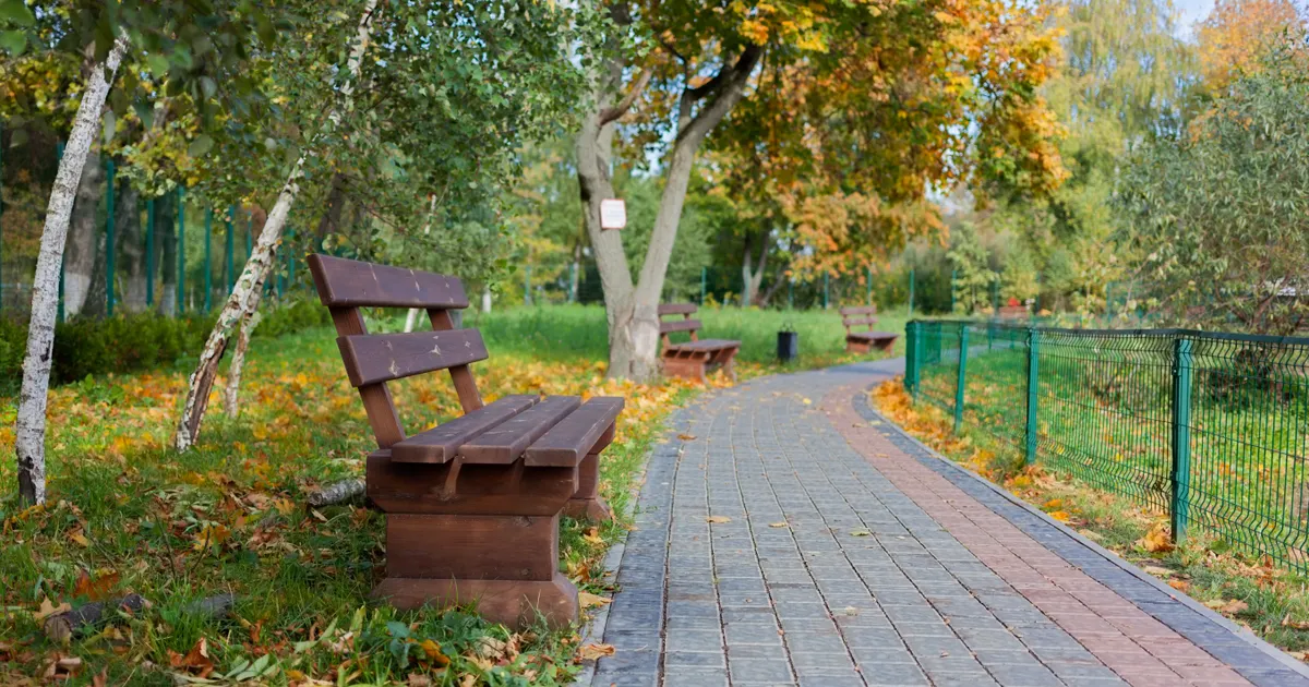 An empty wooden bench beside a paved path through an autumn park