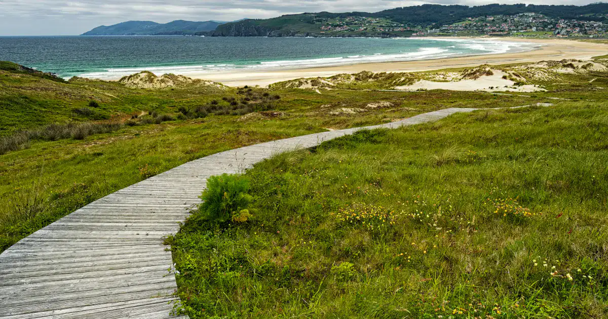 Wooden boardwalk winding through coastal grass toward a beach