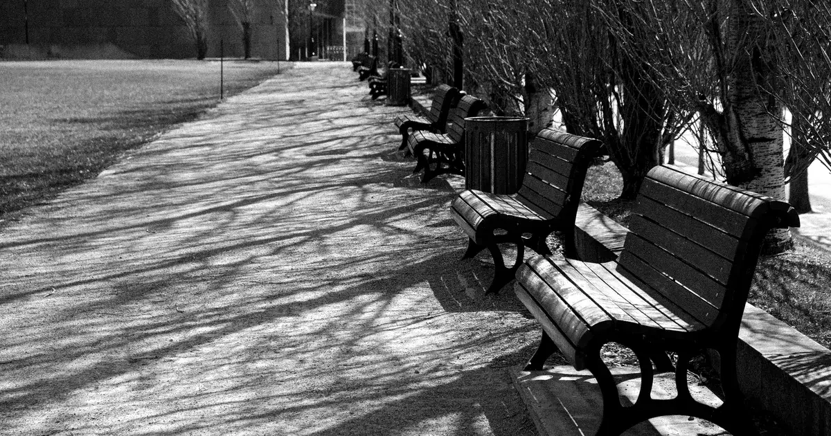 An empty tree-lined park walkway with benches in black and white