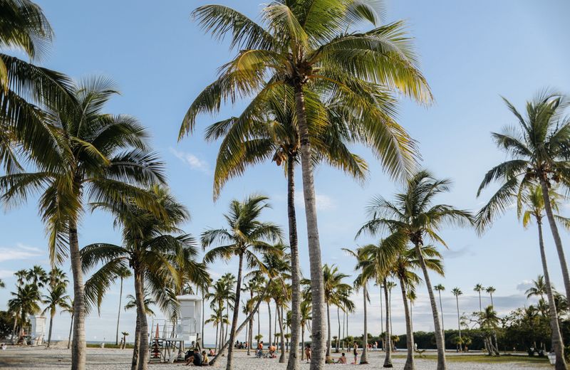Florida scenery