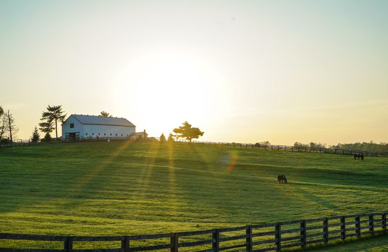 Kentucky scenery