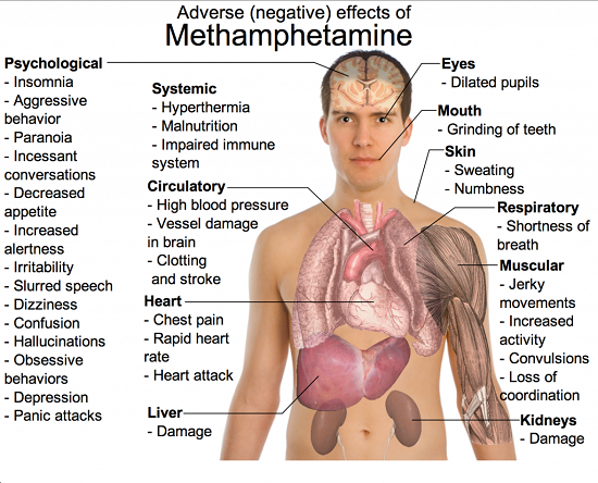 Long Term Effects of Meth
