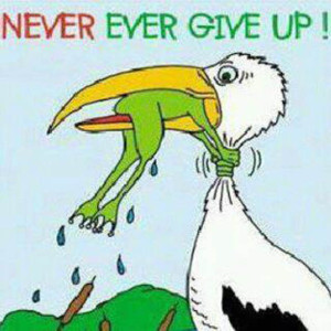 never giv eup
