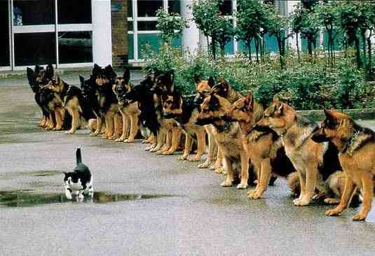 courage