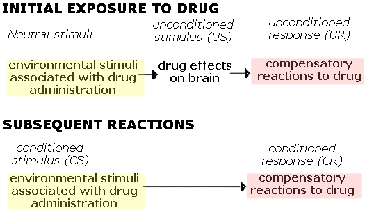 classical conditioning and drug abuse