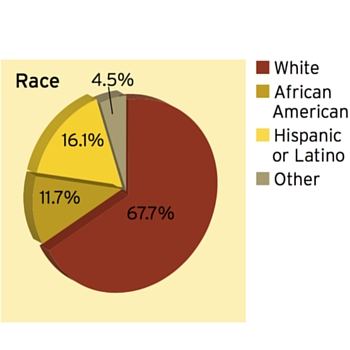 Dem. Race