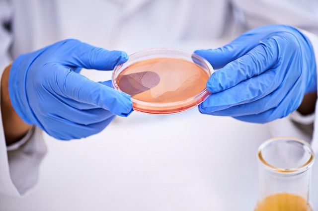 scientific discoveries about addiction 