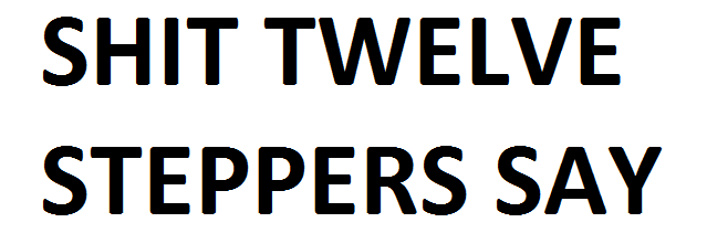 SHIT TWELVE STEPPERS SAY