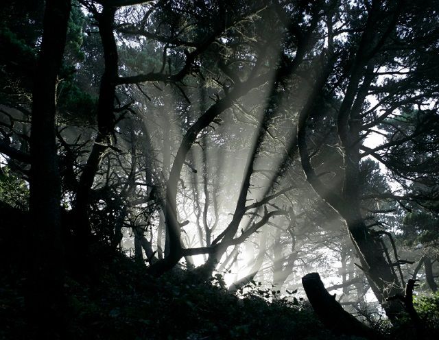 5 Ways to Increase Your Spiritual Awareness