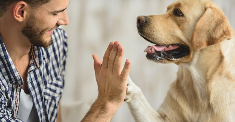Recovery from Substance Abuse: Dogs &amp; the Path to Freedom