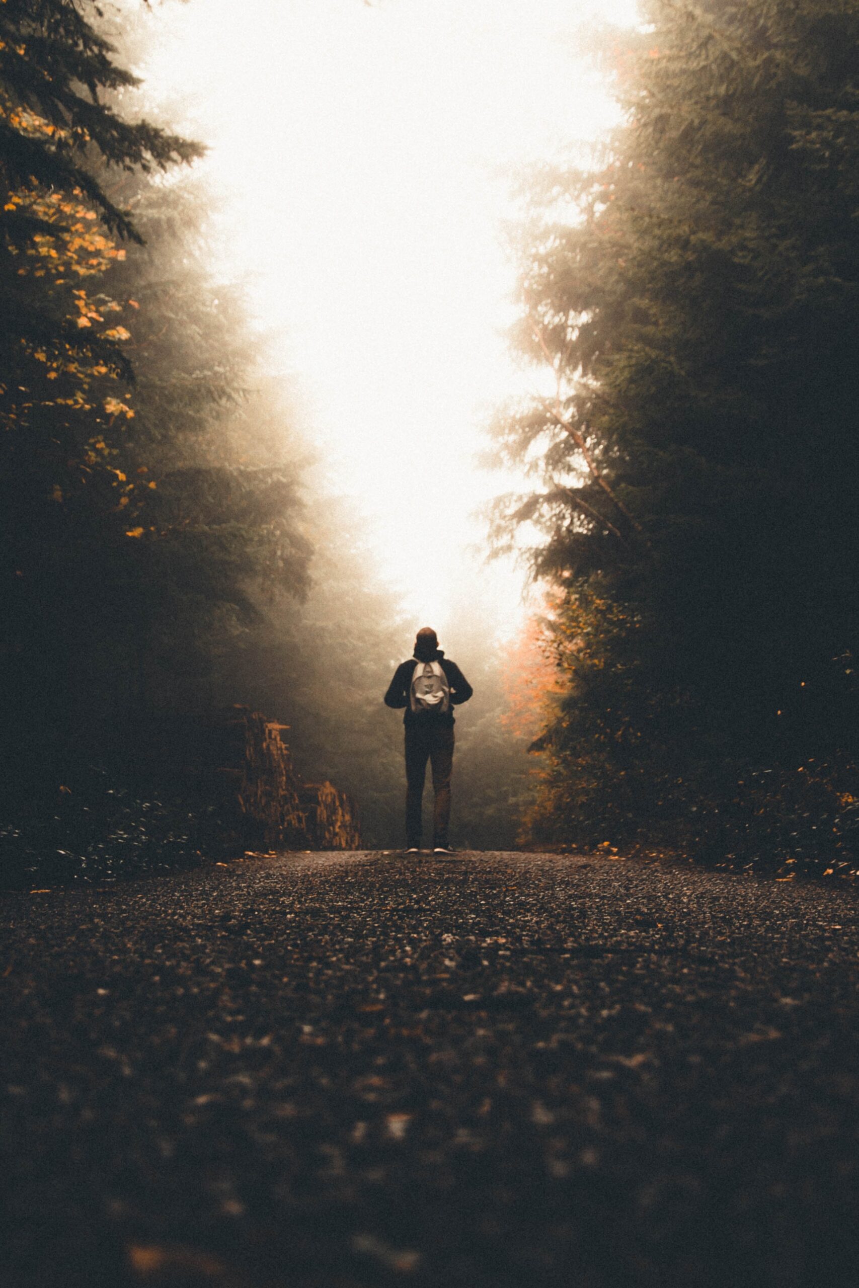detox residential and outpatient treatment recovery journey