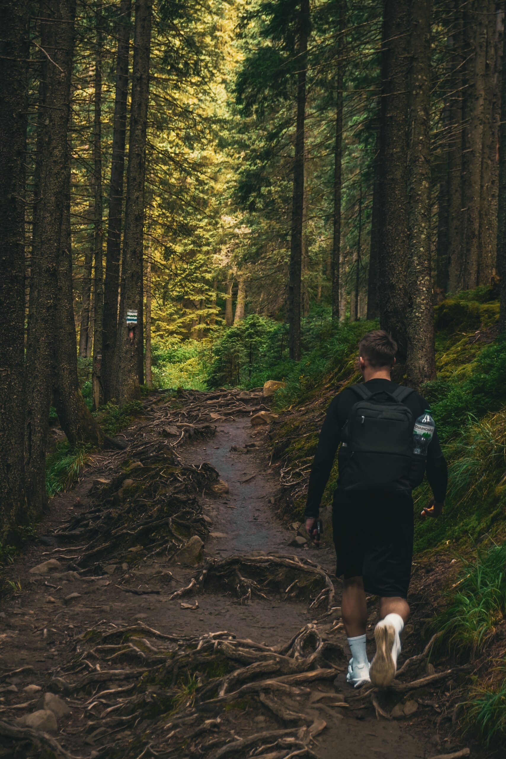 Person enjoying sober activities instead of drinking on a nature trail