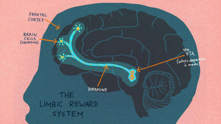 The Stages Of Addiction | Addiction Is Progressive | Sober Nation