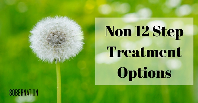 Non 12 Step Treatment Options