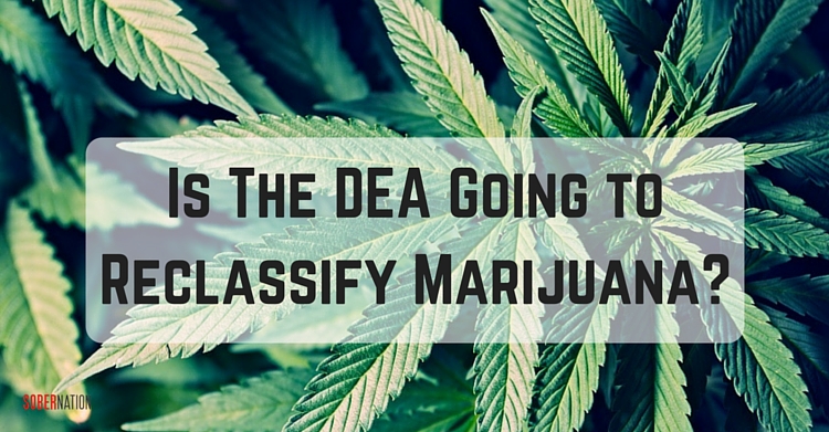 Is The DEA Going to Reclassify Marijuana