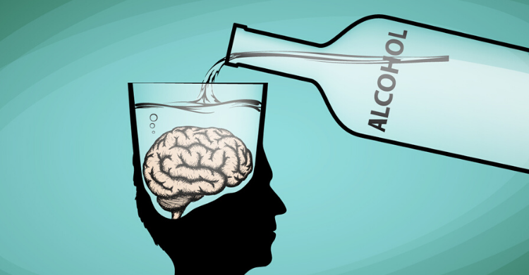 alcohol brain differences